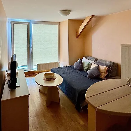 Julijos Apartamentai - Free Parking - Easy Check-in Appartement